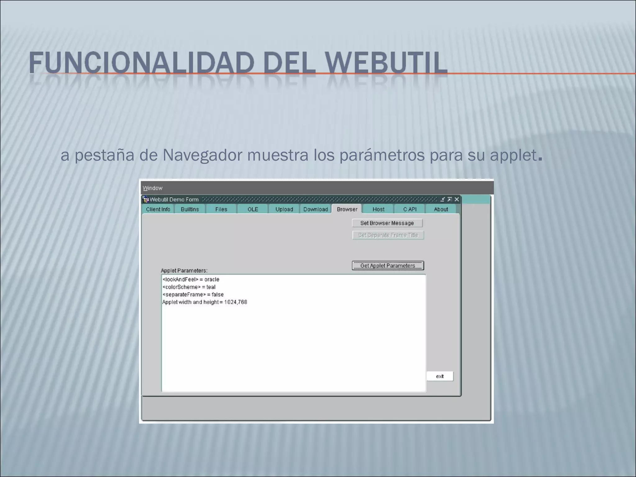 La pestaña de Navegador muestra los parámetros para su applet . 