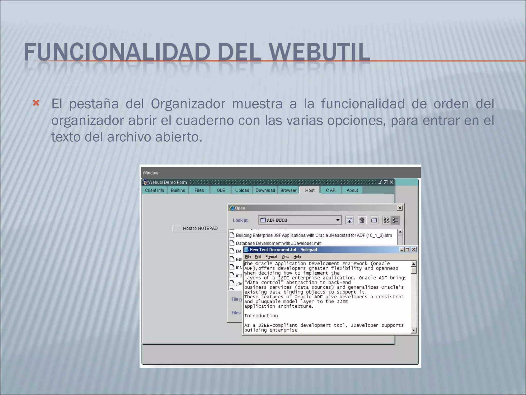 El pestaña del Organizador muestra a la funcionalidad de orden del organizador abrir el cuaderno con las varias opciones, para entrar en el texto del archivo abierto. 
