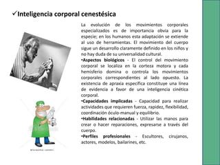 Inteligencia corporal cenestésica
La evolución de los movimientos corporales
especializados es de importancia obvia para la
especie; en los humanos esta adaptación se extiende
al uso de herramientas. El movimiento del cuerpo
sigue un desarrollo claramente definido en los niños y
no hay duda de su universalidad cultural.
•Aspectos biológicos - El control del movimiento
corporal se localiza en la corteza motora y cada
hemisferio domina o controla los movimientos
corporales correspondientes al lado opuesto. La
existencia de apraxia específica constituye una línea
de evidencia a favor de una inteligencia cinética
corporal.
•Capacidades implicadas - Capacidad para realizar
actividades que requieren fuerza, rapidez, flexibilidad,
coordinación óculo-manual y equilibrio.
•Habilidades relacionadas - Utilizar las manos para
crear o hacer reparaciones, expresarse a través del
cuerpo.
•Perfiles profesionales - Escultores, cirujanos,
actores, modelos, bailarines, etc.
 