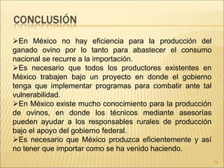 En México no hay eficiencia para la producción del
ganado ovino por lo tanto para abastecer el consumo
nacional se recurre a la importación.
Es necesario que todos los productores existentes en
México trabajen bajo un proyecto en donde el gobierno
tenga que implementar programas para combatir ante tal
vulnerabilidad.
En México existe mucho conocimiento para la producción
de ovinos, en donde los técnicos mediante asesorías
pueden ayudar a los responsables rurales de producción
bajo el apoyo del gobierno federal.
Es necesario que México produzca eficientemente y así
no tener que importar como se ha venido haciendo.
71
 