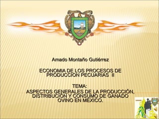 Amado Montaño Gutiérrez ECONOMIA DE LOS PROCESOS DE PRODUCCION PECUARIAS  II TEMA:  ASPECTOS GENERALES DE LA PRODUCCIÓN, DISTRIBUCIÓN Y CONSUMO DE GANADO OVINO EN MEXICO. 