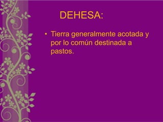 DEHESA:
• Tierra generalmente acotada y
  por lo común destinada a
  pastos.
 