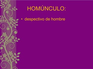 HOMÚNCULO:
• despectivo de hombre
 