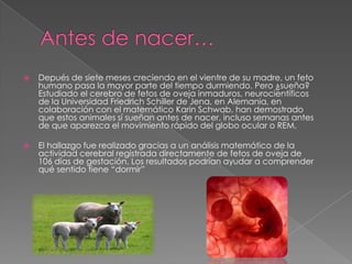 Antes de nacer…Depués de siete meses creciendo en el vientre de su madre, un feto humano pasa la mayor parte del tiempo durmiendo. Pero ¿sueña? Estudiado el cerebro de fetos de oveja inmaduros, neurocientíficos de la Universidad Friedrich Schiller de Jena, en Alemania, en colaboración con el matemático Karin Schwab, han demostrado que estos animales sí sueñan antes de nacer, incluso semanas antes de que aparezca el movimiento rápido del globo ocular o REM.El hallazgo fue realizado gracias a un análisis matemático de la actividad cerebral registrada directamente de fetos de oveja de 106 días de gestación. Los resultados podrían ayudar a comprender qué sentido tiene “dormir”