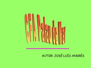 AUTOR: JOSÉ LUÍS ANDRÉS
 