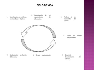 CICLO DE VIDA



                                    2.    Determinación    de    los
1.   identificación del problema,         requerimientos          de    3.    Análisis de      las
     oportunidades y objetivo.            información.                        necesidades      del
                                                                              sistema.




                                                                              4.     Diseño del sistema
                                                                                     (recomendado).




7.   Implantación y evaluación           6.   Prueba y mantenimiento.    5.        Desarrollo         y
     del sistema.                                                                  documentación     del
                                                                                   software.
 