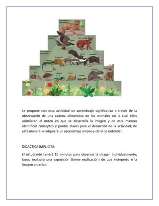 se propone con esta actividad un aprendizaje significativo a través de la
observación de una cadena alimenticia de los animales en la cual ellos
asimilaran el orden en que se desarrolla la imagen y de esta manera
identificar conceptos y puntos claves para el desarrollo de la actividad; de
esta manera se adquiere un aprendizaje amplio y claro de entender.



DIDACTICA IMPLICITA:

El estudiante tendrá 10 minutos para observar la imagen individualmente;
luego realizará una exposición (breve explicación) de que interpreto e la
imagen anterior.
 