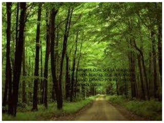 NO IMPORTA CUAL SEA LA VERDAD,
LO ÚNICO REAL ES QUE TENEMOS
UN LARGO CAMINO POR RECORRER
Y DEBEMOS SEGUR.

 