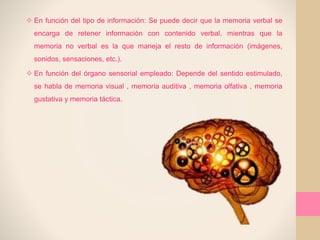  En función del tipo de información: Se puede decir que la memoria verbal se
encarga de retener información con contenido verbal, mientras que la
memoria no verbal es la que maneja el resto de información (imágenes,
sonidos, sensaciones, etc.).
 En función del órgano sensorial empleado: Depende del sentido estimulado,
se habla de memoria visual , memoria auditiva , memoria olfativa , memoria
gustativa y memoria táctica.
 