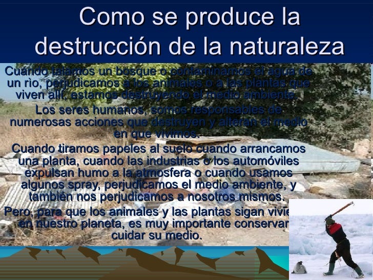 Que harias como maestro para evitar la destruccion de la naturaleza