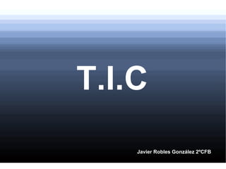 T.I.C Javier Robles González 2ºCFB 
