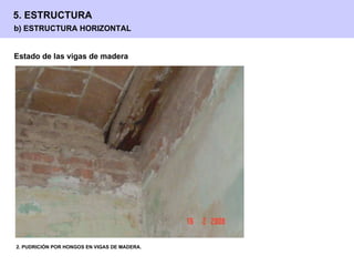 Estado de las vigas de madera  2. PUDRICIÓN POR HONGOS EN VIGAS DE MADERA. b) ESTRUCTURA HORIZONTAL 5. ESTRUCTURA 