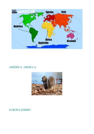 AMÉRICA :ARDILLA
EUROPA:ZORRO
 