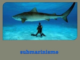 Trabajo pawer point info