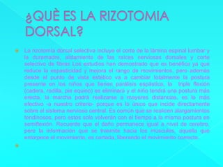 ¿QUÈ ES LA RIZOTOMIA DORSAL?La rizotomía dorsal selectiva incluye el corte de la lámina espinal lumbar y la duramadre, aislamiento de las raíces nerviosas dorsales y corte selectivo de fibras Los estudios han demostrado que es benéfica ya que reduce la espasticidad y mejora el rango de movimientos, pero además desde el punto de vista estético va a cambiar totalmente la postura presente en los niños que tienen parálisis espástica, la  triple flexión (cadera, rodilla, pie equino) se eliminará y el niño tendrá una postura más erecta, la marcha podrá realizarse a mayores distancias, es lo más efectivo -a nuestro criterio- porque es lo único que incide directamente sobre el sistema nervioso central. Es común que se realicen alargamientos tendinosos, pero estos solo volverán con el tiempo a la misma postura en semiflexión. Recuerde que el daño permanece igual a nivel de cerebro, pero la información que se trasmite hacia los músculos, aquella que entorpece el movimiento, es cortada, liberando el movimiento correcto.  