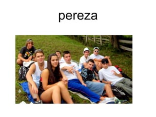 pereza
 