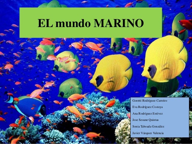 EL mundo MARINO             Goretti Rodríguez Carreiro             Eva Rodríguez Costoya             Ana Rodríguez Estévez...