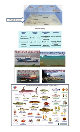 TIPOS DE PESCA
Método de pesca
 