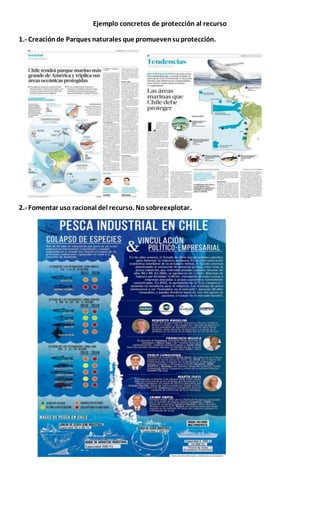 Ejemplo concretos de protección al recurso
1.- Creaciónde Parques naturales que promuevensuprotección.
2.- Fomentar uso racional del recurso. Nosobreexplotar.
 