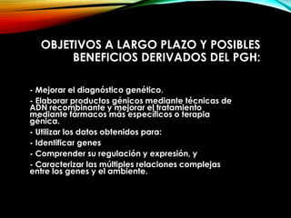 OBJETIVOS A LARGO PLAZO Y POSIBLES
BENEFICIOS DERIVADOS DEL PGH:
- Mejorar el diagnóstico genético.
- Elaborar productos génicos mediante técnicas de
ADN recombinante y mejorar el tratamiento
mediante fármacos más específicos o terapia
génica.
- Utilizar los datos obtenidos para:
- Identificar genes
- Comprender su regulación y expresión, y
- Caracterizar las múltiples relaciones complejas
entre los genes y el ambiente.
 