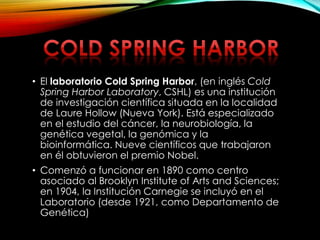 • El laboratorio Cold Spring Harbor, (en inglés Cold
Spring Harbor Laboratory, CSHL) es una institución
de investigación científica situada en la localidad
de Laure Hollow (Nueva York). Está especializado
en el estudio del cáncer, la neurobiología, la
genética vegetal, la genómica y la
bioinformática. Nueve científicos que trabajaron
en él obtuvieron el premio Nobel.
• Comenzó a funcionar en 1890 como centro
asociado al Brooklyn Institute of Arts and Sciences;
en 1904, la Institución Carnegie se incluyó en el
Laboratorio (desde 1921, como Departamento de
Genética)
 