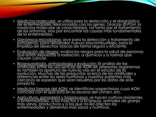 • Medicina molecular: se utiliza para la detección y el diagnóstico
de enfermedades relacionadas con los genes. Gracias al PGH, la
medicina molecular se caracterizará, no tanto por el tratamiento
de los síntomas, sino por encontrar las causas más fundamentales
de la enfermedad.
• Genómica microbiana: sirve para la detección y tratamiento de
patógenos, para desarrollar nuevos biocombustibles, para la
limpieza de desechos tóxicos de forma segura y eficiente.
• Evaluación de riesgos: evalúa los riesgos para la salud de personas
que están expuestas a radiación, a químicos y a toxinas que
causan cáncer.
• Bioarqueología, antropología y evolución: El análisis de las
similitudes entre las secuencias de ADN de diferentes organismos
es también la apertura de nuevas vías en el estudio de la
evolución. Muchas de las preguntas acerca de las similitudes y
diferencias entre los seres humanos y nuestros parientes más
cercanos se esperan que sean resueltas por los datos de este
proyecto.
• Medicina forense del ADN: se identifican sospechosos cuyo ADN
coincida con el que está en la escena del crimen, etc.
• Agricultura, ganadería y bioprocesos: se hacen cultivos resistentes
a enfermedades, a los insectos y a la sequía, animales de granja
más sanos, productivos y a los que no les afecten las
enfermedades y alimentos más sanos y nutritivos.
 