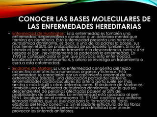 CONOCER LAS BASES MOLECULARES DE
LAS ENFERMEDADES HEREDITARIAS
• Enfermedad de Huntington: Esta enfermedad es también una
enfermedad degenerativa y conduce a un deterioro mental que
termina en demencia. Esta enfermedad presenta una herencia
autosómica dominante, es decir, si uno de los padres la posee, sus
hijos tienen el 50% de probabilidad de padecerla también. Si no se
hereda el gen, no se puede transmitir a la descendencia, pero si sí se
hereda el gen, inevitablemente se padecerá la enfermedad. En
1993 se consiguió aislar el gen que provoca esta enfermedad,
localizado en el cromosoma 4, y ahora se investiga un tratamiento o
cura a esta enfermedad.
• Síndrome de Marfan: Es una enfermedad congénita del tejido
conectivo que afecta a numerosos órganos y sistemas. Esta
enfermedad se caracteriza por un crecimiento anormal de las
extremidades (dedos), una dislocación parcial del cristalino,
anormalidades cardiovasculares (la arteria aorta suele ser más
ancha y más frágil) y otras deformaciones. El síndrome de Marfan es
también una enfermedad autosómica dominante, por lo que los
descendientes de personas afectadas poseen el 50% de
posibilidades de padecerla. La enfermedad está asociada al gen
FBN1, localizado en el cromosoma 15. El FBN1 codifica una proteína
llamada fibrilina, que es esencial para la formación de fibras
elásticas del tejido conectivo. Sin el soporte estructural de las fibras
elásticas, muchos tejidos presentan una debilidad que puede
provocar los síntomas anteriores.
 