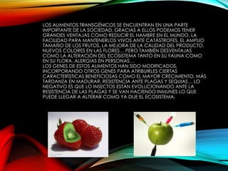 LOS ALIMENTOS TRANSGÉNICOS SE ENCUENTRAN EN UNA PARTE
IMPORTANTE DE LA SOCIEDAD. GRACIAS A ELLOS PODEMOS TENER
GRANDES VENTAJAS COMO REDUCIR EL HAMBRE EN EL MUNDO, LA
FACILIDAD PARA MANTENERLOS VIVOS ANTE CATÁSTROFES, EL AMPLIO
TAMAÑO DE LOS FRUTOS, LA MEJORA DE LA CALIDAD DEL PRODUCTO,
NUEVOS COLORES EN LAS FLORES… PERO TAMBIÉN DESVENTAJAS
COMO LA ALTERACIÓN DEL ECOSISTEMA TANTO EN SU FAUNA COMO
EN SU FLORA, ALERGIAS EN PERSONAS…
LOS GENES DE ESTOS ALIMENTOS HAN SIDO MODIFICADOS,
INCORPORANDO OTROS GENES PARA ATRIBUIRLES CIERTAS
CARACTERÍSTICAS BENEFICIOSAS COMO EL MAYOR CRECIMIENTO, MÁS
TARDANZA EN MADURAR, RESISTENCIA ANTE PLAGAS Y SEQUIAS… LO
NEGATIVO ES QUE LO INSECTOS ESTÁN EVOLUCIONANDO ANTE LA
RESISTENCIA DE LAS PLAGAS Y SE VAN HACIENDO INMUNES LO QUE
PUEDE LLEGAR A ALTERAR COMO YA DIJE EL ECOSISTEMA.
 