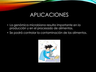 APLICACIONES
• La genómica microbiana resulta importante en la
producción y en el procesado de alimentos.
• Se podrá controlar la contaminación de los alimentos.
 