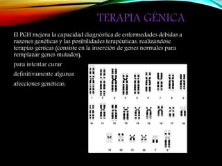 TERAPIA GÉNICA
El PGH mejora la capacidad diagnóstica de enfermedades debidas a
razones genéticas y las posibilidades terapéuticas, realizándose
terapias génicas (consiste en la inserción de genes normales para
remplazar genes mutados),
para intentar curar
definitivamente algunas
afecciones genéticas.
 