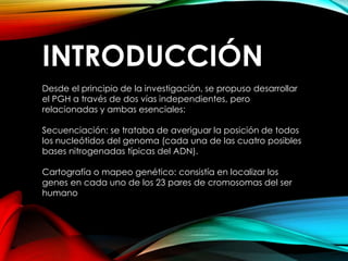 INTRODUCCIÓN
Desde el principio de la investigación, se propuso desarrollar
el PGH a través de dos vías independientes, pero
relacionadas y ambas esenciales:
Secuenciación: se trataba de averiguar la posición de todos
los nucleótidos del genoma (cada una de las cuatro posibles
bases nitrogenadas típicas del ADN).
Cartografía o mapeo genético: consistía en localizar los
genes en cada uno de los 23 pares de cromosomas del ser
humano
 