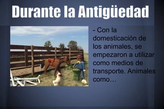 - Con la
domesticación de
los animales, se
empezaron a utilizar
como medios de
transporte. Animales
como…
 