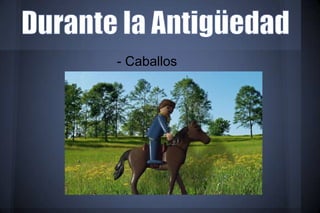 - Caballos
 