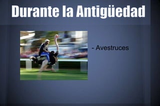 - Avestruces
 