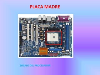 PLACA MADRE




ZOCALO DEL PROCESADOR
 