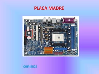 PLACA MADRE




CHIP BIOS
 