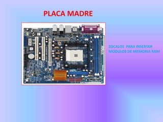 PLACA MADRE


              ZOCALOS PARA INSERTAR
              MODULOS DE MEMORIA RAM
 