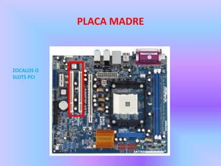PLACA MADRE



ZOCALOS O
SLOTS PCI
 
