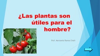 ¿Las plantas son
útiles para el
hombre?
Prof. Marianela Ramos Chañi
 