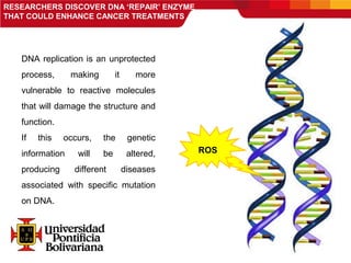 RESEARCHERS DISCOVER DNA ‘REPAIR’ ENZYME
THAT COULD ENHANCE CANCER TREATMENTS
DNA replication is an unprotected
process, making it more
vulnerable to reactive molecules
that will damage the structure and
function.
If this occurs, the genetic
information will be altered,
producing different diseases
associated with specific mutation
on DNA.
ROS
 