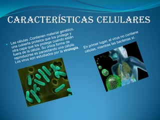 CaracterísticascelularesLas células .Contienen material genético, una cubierta proteica que los protege y otra capa que los protege cuando están fuera de la célula. Su única forma de reproducirse es parasitando una célula. Los virus son estudiados por la virología. En primer lugar, el virus no contiene células, mientras las bacterias sí.