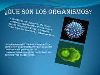 ¿Que son los organismos?Las bacterias son organismos procariotas unicelulares pertenecientes al reino Mónera. Existen tres grandes grupos de bacterias: eubacterias, cianobacterias, y arqueo bacterias.Las primeras células que aparecieron sobre la tierra fueron, seguramente, muy parecidas a las que hoy constituyen un grupo de microorganismos unicelulares que incluyen las bacterias y las cianobacterias. 
