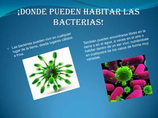 ¡Donde pueden habitar las bacterias!También pueden encontrarse libres en la tierra o en el agua, a veces en el aire o habitar dentro de un ser vivo; nutriéndose en cualquiera de los casos de forma muy variadas.Las bacterias pueden vivir en cualquier lugar de la tierra, desde lugares cálidos a fríos. 