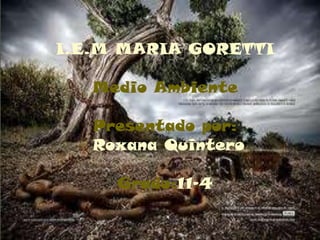 I.E.M MARIA GORETTI

   Medio Ambiente

   Presentado por:
   Roxana Quintero

     Grado:11-4
 
