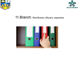 11.Branch: Ramificarse, difucare ,separarse
 