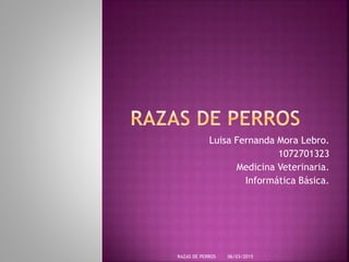 Luisa Fernanda Mora Lebro.
1072701323
Medicina Veterinaria.
Informática Básica.
06/03/2015RAZAS DE PERROS
 