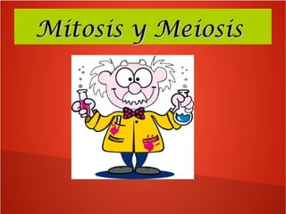 Mitosis y MeiosisMitosis y Meiosis
 