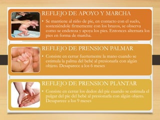 REFLEJO DE APOYO Y MARCHA 
• Se mantiene al niño de pie, en contacto con el suelo, 
sosteniéndole firmemente con los brazos, se observa 
como se endereza y apoya los pies. Entonces alternara los 
pies en forma de marcha. 
REFLEJO DE PRENSION PALMAR 
• Consiste en cerrar fuertemente la mano cuando se 
estimula la palma del bebé al presionarla con algún 
objeto. Desaparece a los 6 meses 
REFLEJO DE PRENSION PLANTAR 
• Consiste en cerrar los dedos del pie cuando se estimula el 
pulgar del pie del bebé al presionarla con algún objeto. 
Desaparece a los 9 meses 
 