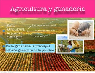 Agricultura y ganadería
En la
agricultura
se pueden
distinguir
Los regadíos del litoral
El secano arbolado
Los viñedos
En la ganadería la principal
cabaña ganadera es la porcina
jueves, 25 de abril de 13
 