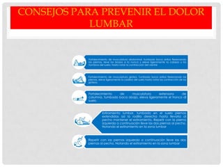 CONSEJOS PARA PREVENIR EL DOLOR
LUMBAR
Fortalecimiento de musculatura abdominal. tumbado boca arriba flexionando
las piernas, lleve los brazos a la nunca y eleve ligeramente la cabeza y los
hombros del suelo, hasta notar la contracción del vientre
Fortalecimiento de musculatura glútea. Tumbado boca arriba flexionando las
piernas, eleve ligeramente la cadera del suelo hasta notar las contracción de los
glúteos.
Fortalecimiento de musculatura extensora de
columna, tumbado boca abajo, eleva ligeramente el tronco dl
suelo
Estiramiento lumbar, tumbado en el suelo piernas
extendidas así la rodilla derecha hasta llevarla al
pecho mantener el estiramiento. Repetir con la pierna
izquierda a continuación lleve las dos piernas al pecho.
Notando el estiramiento en la zona lumbar
Repetir con las piernas izquierda a continuación lleve las dos
piernas al pecho. Notando el estiramiento en la zona lumbar
 